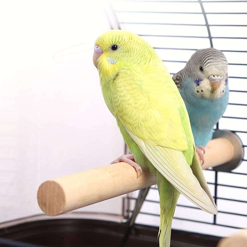 Pajaros